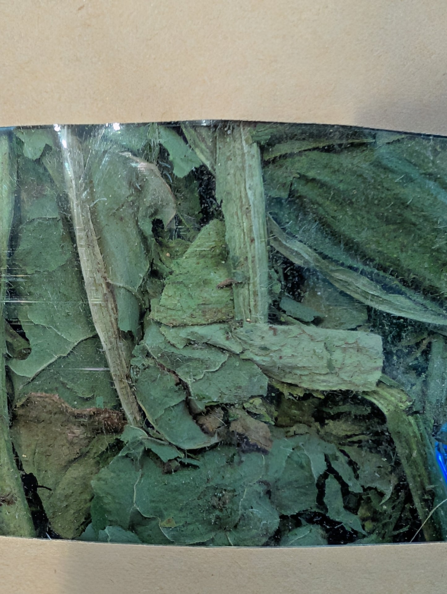 Comfrey Leaf Dried Fresh- 4 oz bag SHIPS FREE