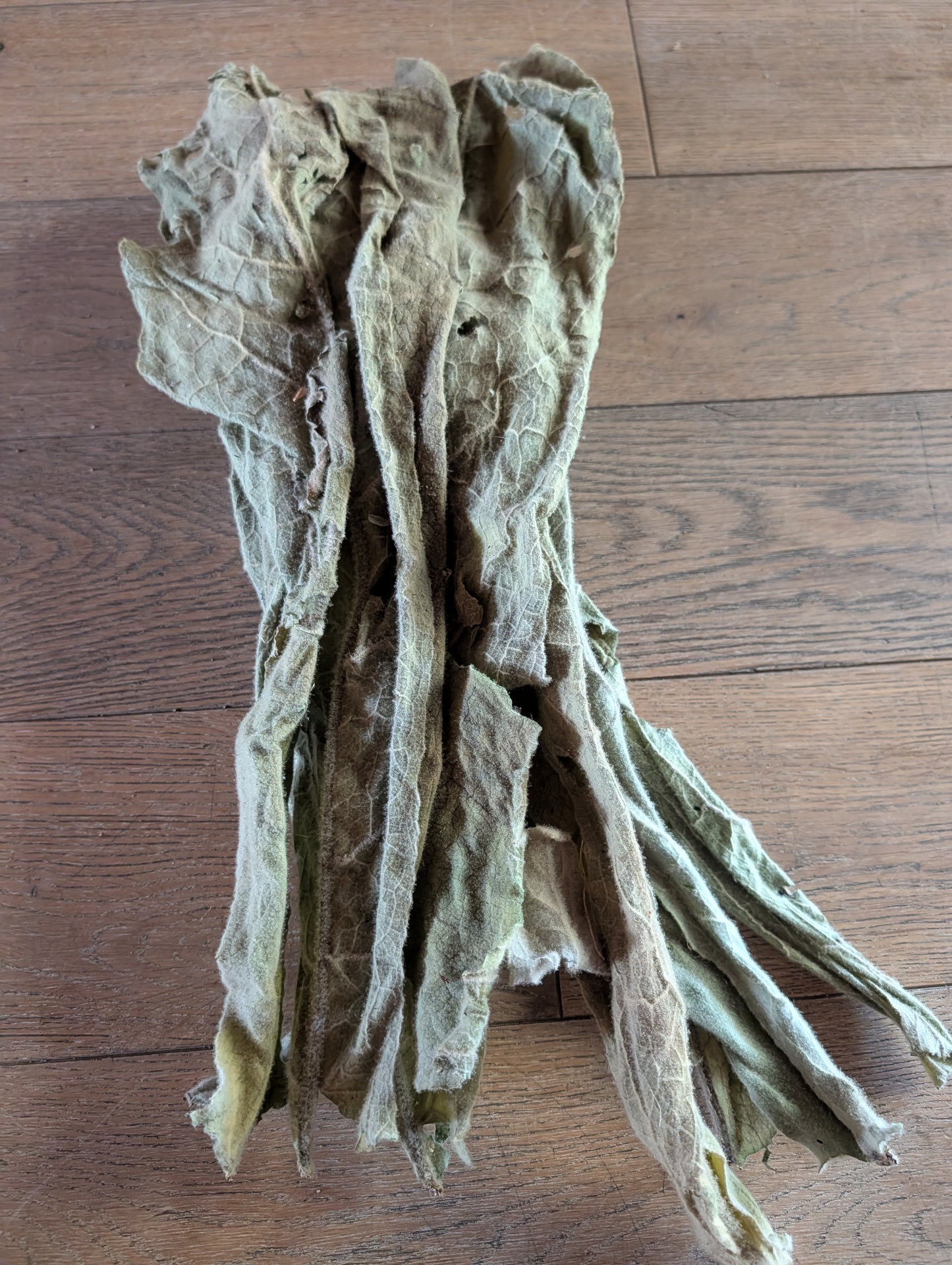 Mullein Leaf Organic Fresh- 4 ounce bag- makes great tincture- Extremely Helpful on Lung Issues-SHIPS FREE