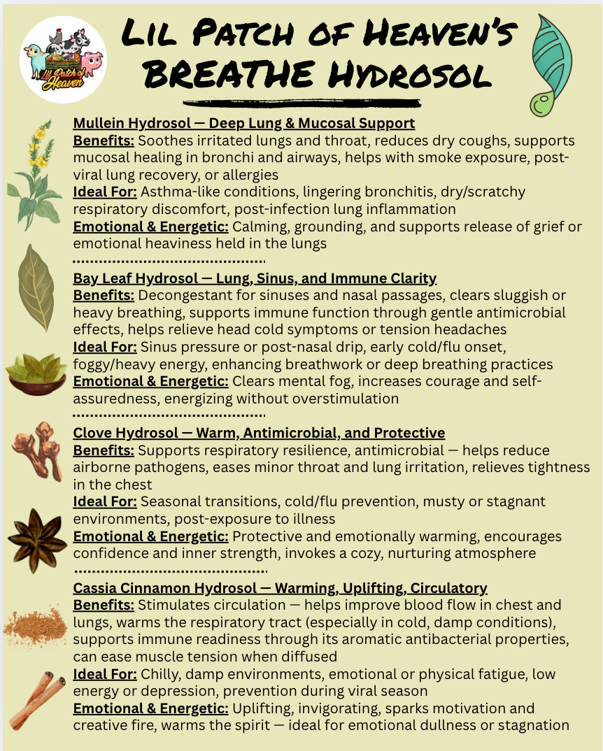 BREATHE Hydrosol for Nebulizer - Mullein, Bay Leaf, Clove, Cassia Cinnamon, Frankincense- 4 oz Sprayer SHIPS FREE