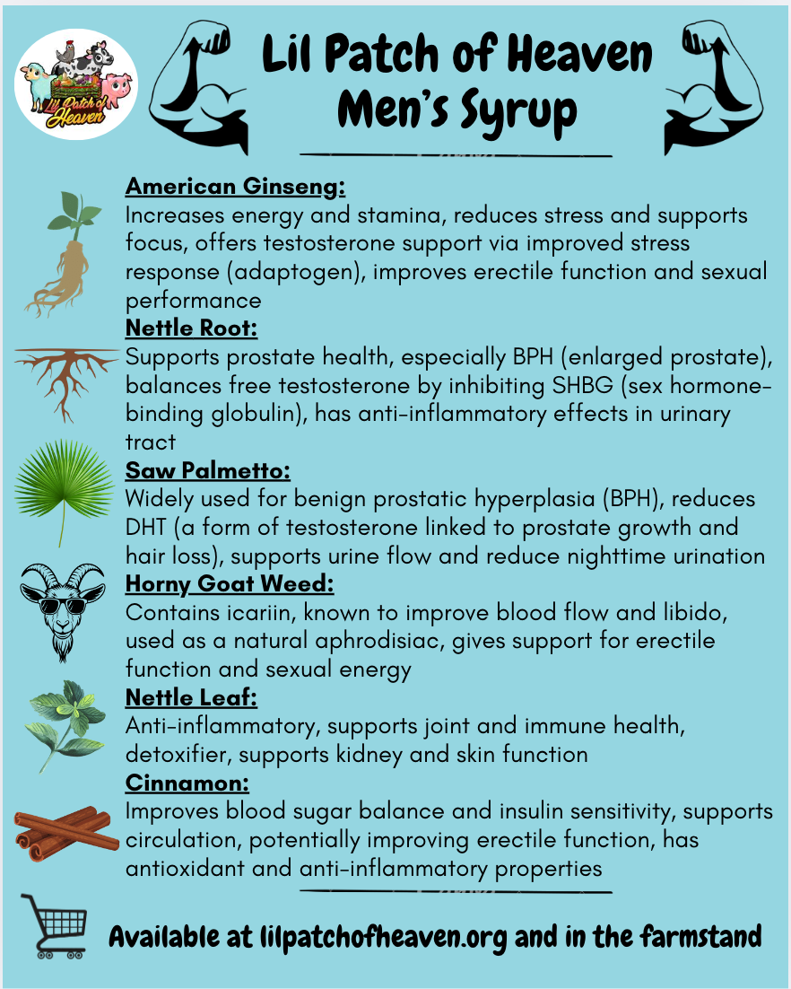 MEN- American Ginseng, Nettle Root, Saw Palmetto, Horny Goat Weed,Nettle Leaf, Cinnamon-Vitality for Men- Organic Herbal Syrup - 10 Ounces SHIPS FREE