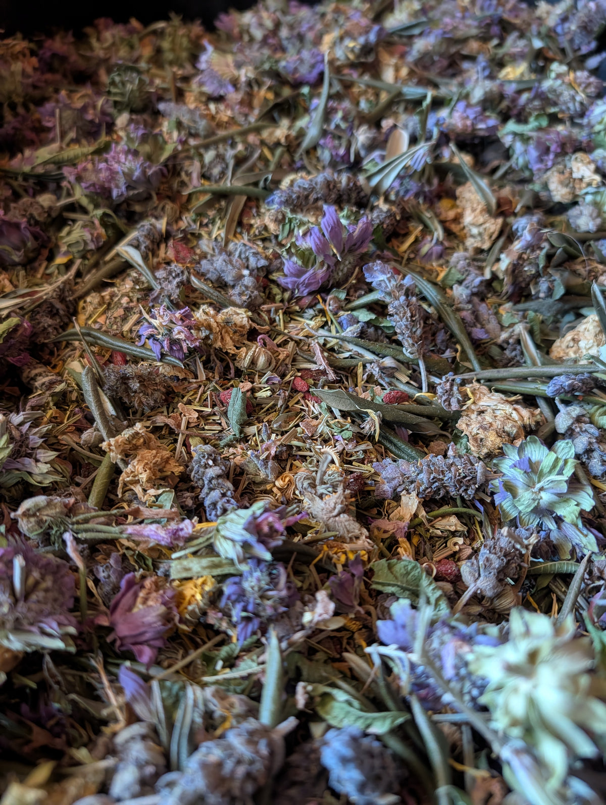 PowerHouse Medicinal Tea-4.4 oz ORGANIC- Olive Leaf,Lemon Verbena, Mexican Oregano ,Bee Balm, Lavender ,Skullcap, Lemongrass, White Pine Bark, Goji Berry, Lemon Rind, California Poppy, Calendula, Chrysanthemum-FREE SHIP