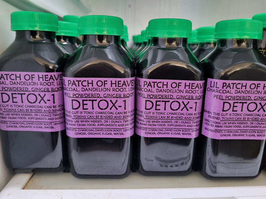 Natural Detox with Charcoal, Dandelion & Ginger: A Complete Guide