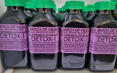 Natural Detox with Charcoal, Dandelion & Ginger: A Complete Guide