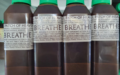 Herbal Support for Lung & Respiratory Health: The BREATHE Formula