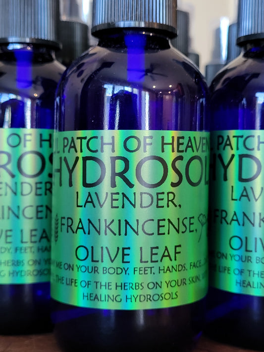 Lavender, Frankincense, Olive Leaf,  Hydrosol- 4 oz Sprayer SHIPS FREE