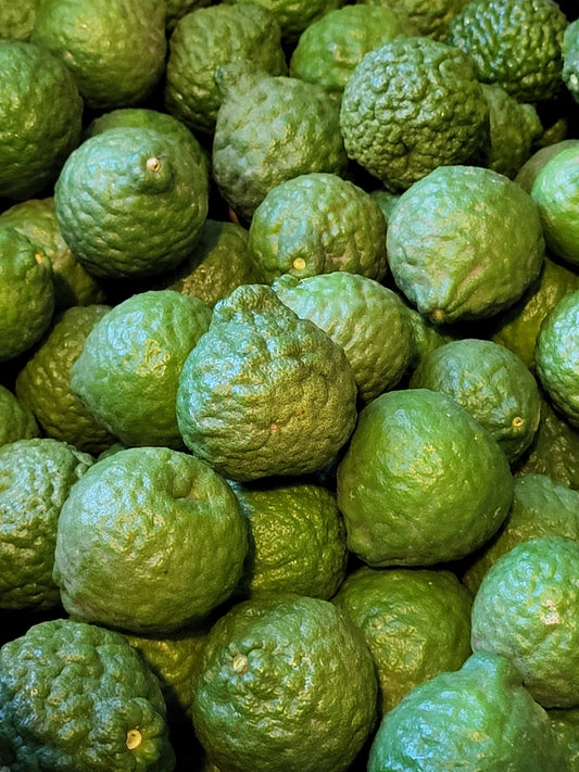 1.5 lb KAFFIR LIME aka THAI LIMES Organic Fresh Picked FREE SHIPPING