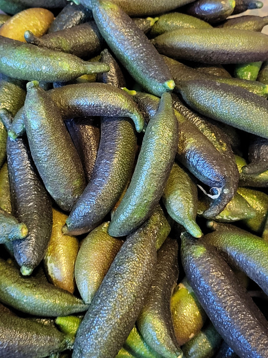 "RARE" Finger Limes AKA Lime Caviar 1/2 lb - Organic Fresh Picked FREE SHIPPING