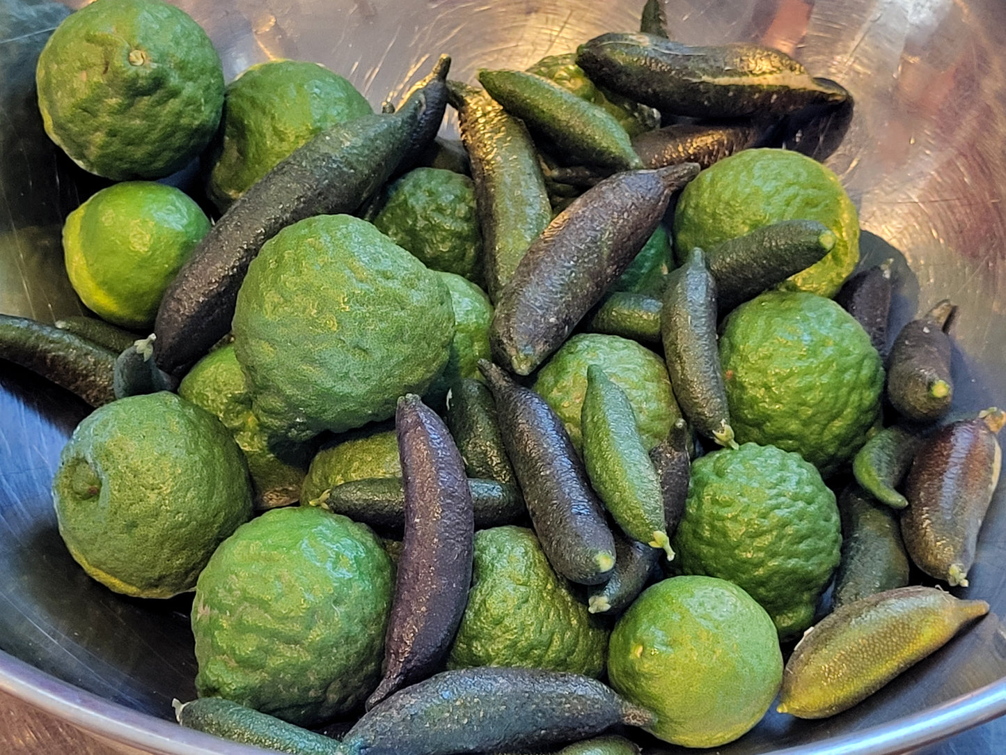 "RARE" Finger Limes AKA Lime Caviar 1/2 lb - PLUS - 1.5 lb KAFFIR LIME aka THAI LIMES Organic Fresh Picked FREE SHIPPING
