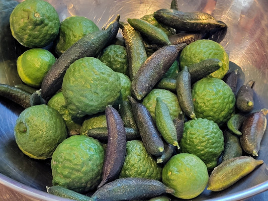 "RARE" Finger Limes AKA Lime Caviar 1/2 lb - PLUS - 1.5 lb KAFFIR LIME aka THAI LIMES Organic Fresh Picked FREE SHIPPING