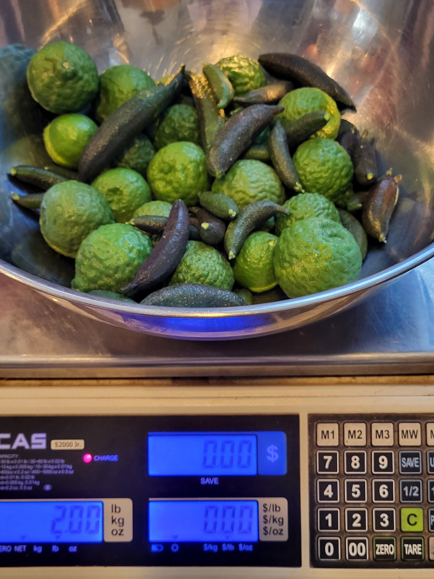 "RARE" Finger Limes AKA Lime Caviar 1/2 lb - PLUS - 1.5 lb KAFFIR LIME aka THAI LIMES Organic Fresh Picked FREE SHIPPING