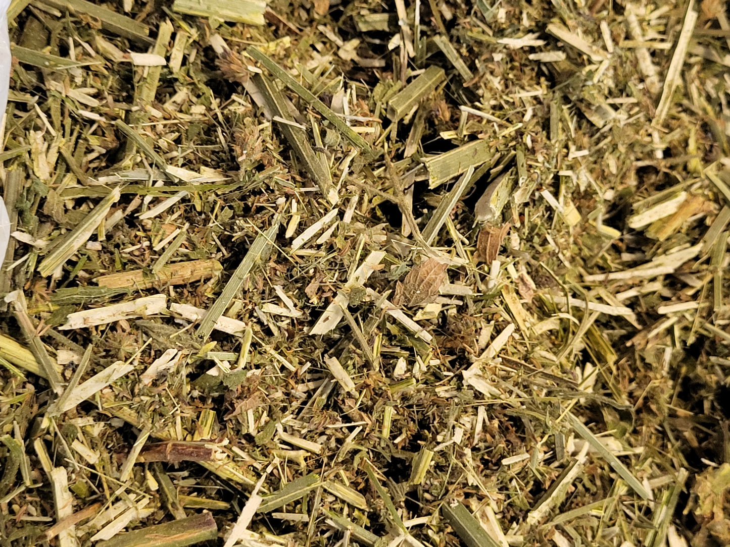 Vervain Chopped Organic Fresh- 16 ounce cup ounce SHIPS FREE