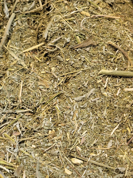 Wormwood " Artemisia Absinthium "Chopped Organic Fresh- 16 ounce cup SHIPS FREE