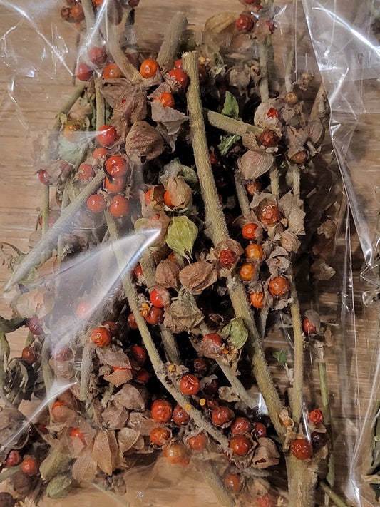 ASHWAGANDHA SEEDS, LEAF, STEM - Medicinal 1.8 oz SHIPS FREE