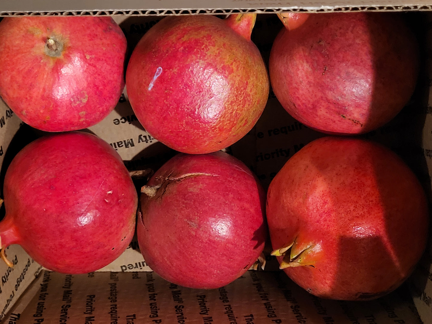 Wonderful Pomegranates 5.8 - 6lb Box ORGANIC "Rare" Fresh Picked - FREE SHIP