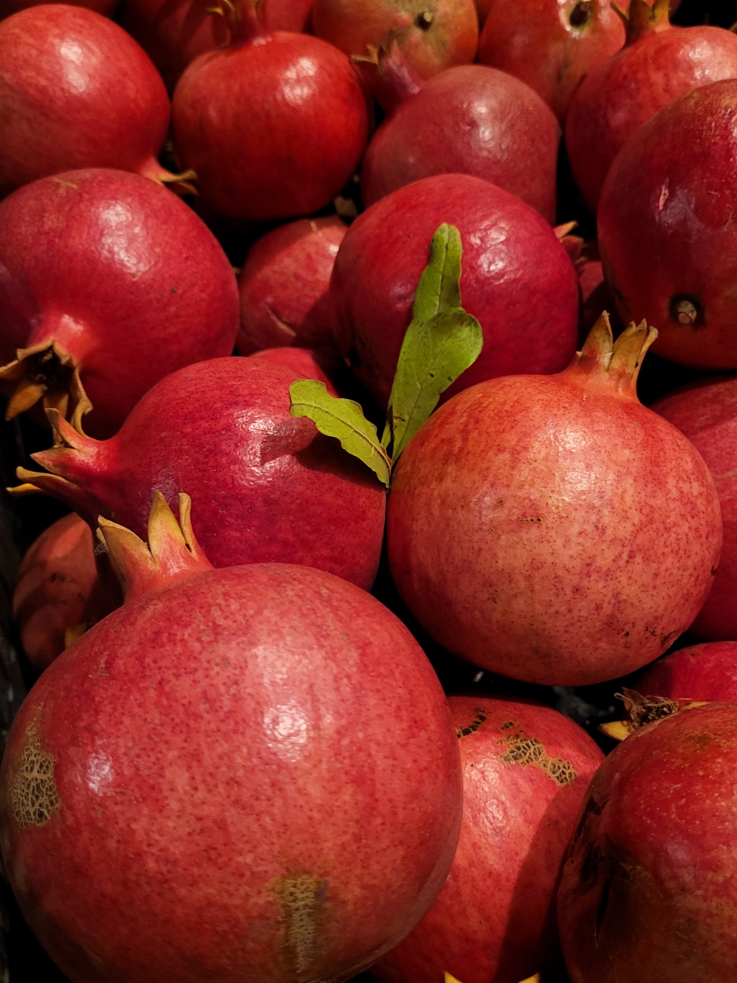 Wonderful Pomegranates 5.8 - 6lb Box ORGANIC "Rare" Fresh Picked - FREE SHIP