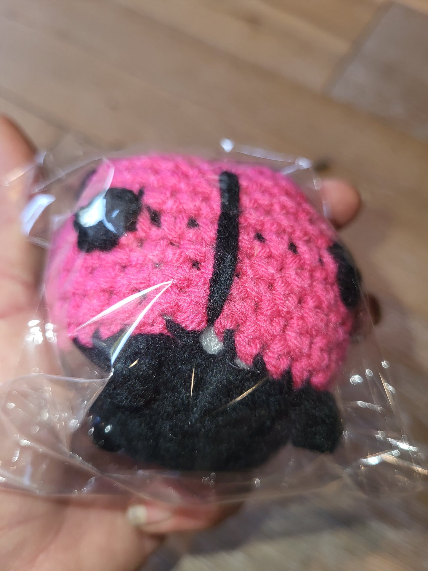 LADYBUG -Toddler or Cat Toy -SUPPORT KIDS CROCHETING-Free Shipping