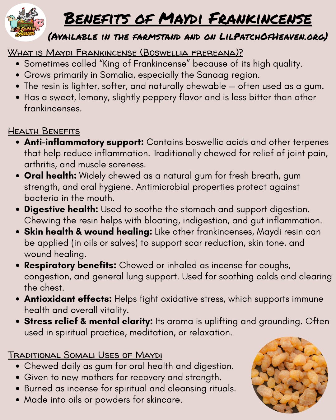 Maydi Frankincense Tears Chewing Gum Organic - 1 oz in Glass Tube SHIPS FREE