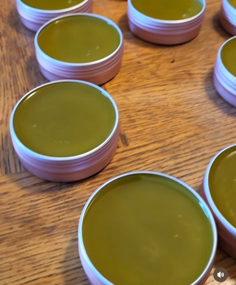 Organic Herbal Body Salve - 2 Oz SHIPS FREE