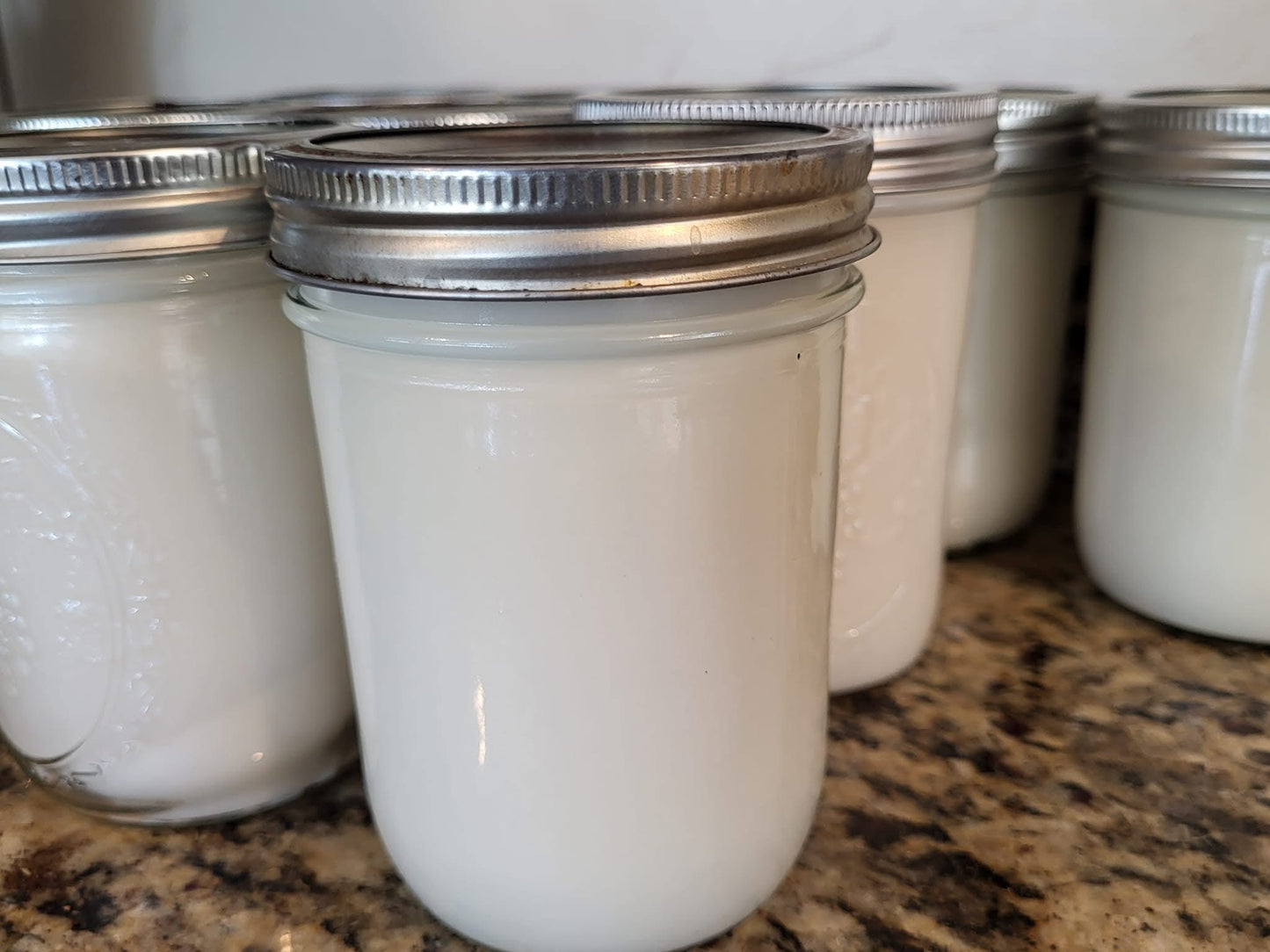 Grass Fed Beef Tallow - 16 Ounces -SHIPS FREE