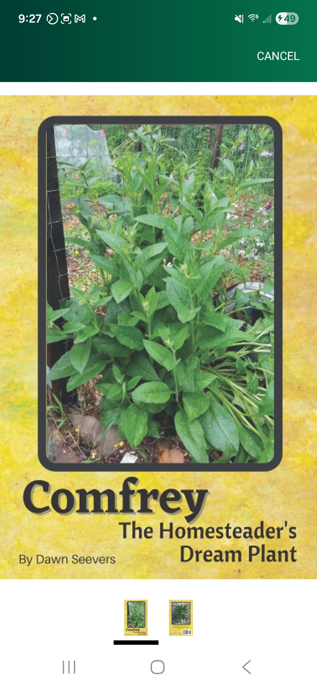 Comfrey The Homesteader's Dream Plant - How to Grow and Use in the Garden, with Animals, Medicinally, and More