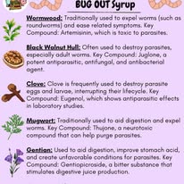 Wellness Bundle – Turpentine & Castor Oil "CELL REGENERATION" + BUGOUT Syrup + Black DRAWING Salve