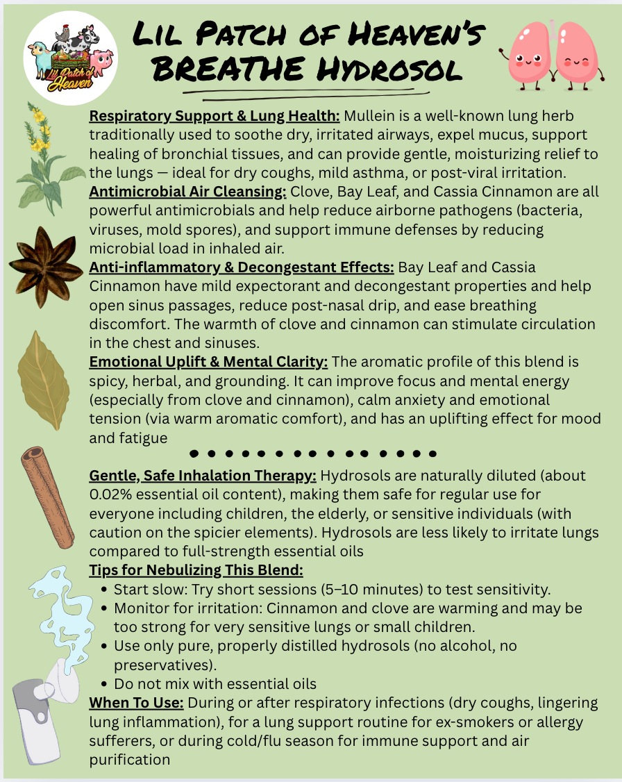 BREATHE Hydrosol for Nebulizer - Mullein, Bay Leaf, Clove, Cassia Cinnamon, Frankincense- 4 oz Sprayer SHIPS FREE