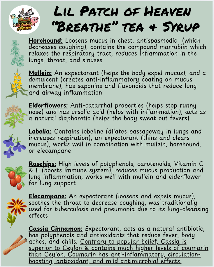 BREATHE 16 oz Organic Herbal Syrup " used to be called Throat Coat & Lung Rescue"  - Family Size SHIPS FREE