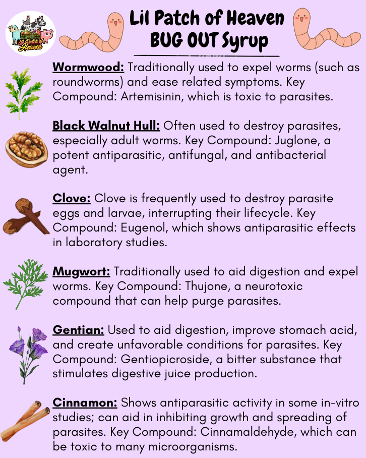 BUGOUT- Medicinal Tea ,Wormwood,Black Walnut Hull,Clove,Mugwort,Gentian,Cassia Cinnamon Organic - 12 ounce SHIPS FREE