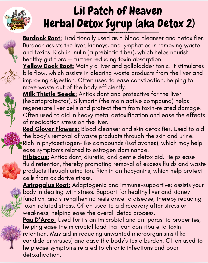 DETOX - 2 - BURDOCK ROOT, YELLOW DOCK ROOT, MILK THISTLE SEEDS, PAU'D ARCO, RED CLOVER FLOWERS, HIBISCUS,  ASTRAGALUS Organic Herbal Syrup - 10 Ounces SHIPS FREE
