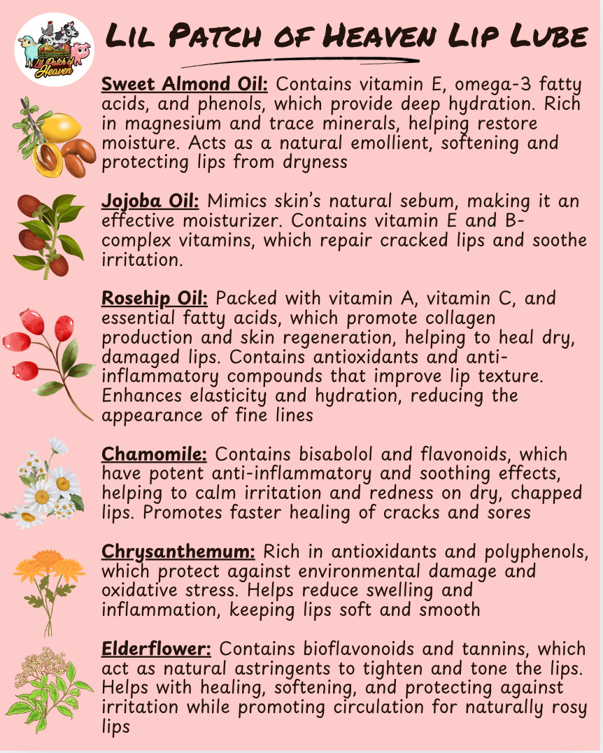 Medicinal Organic Lip Lube - 2 Oz SHIPS FREE