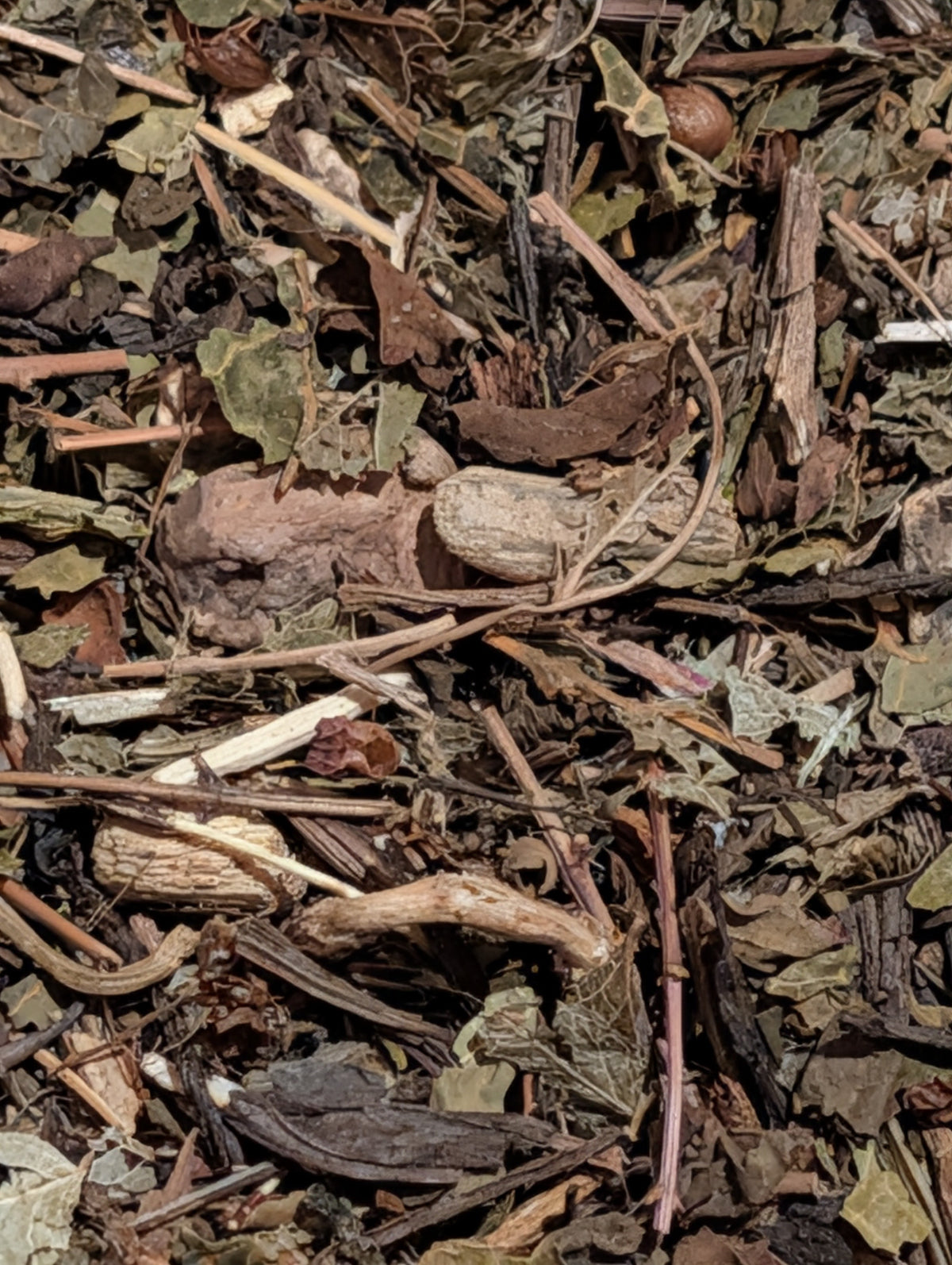FREE FLOW-URINARY Medicinal TEA-Stones NO More - UTI'S - Digestive - Metabolic - Stress - Gravel Root, Stone Root, Papaya Leaf, Wide Leaf Plantain, Bilberry, Tulsi Flower & Leaf- Organic - FREE SHIPPING