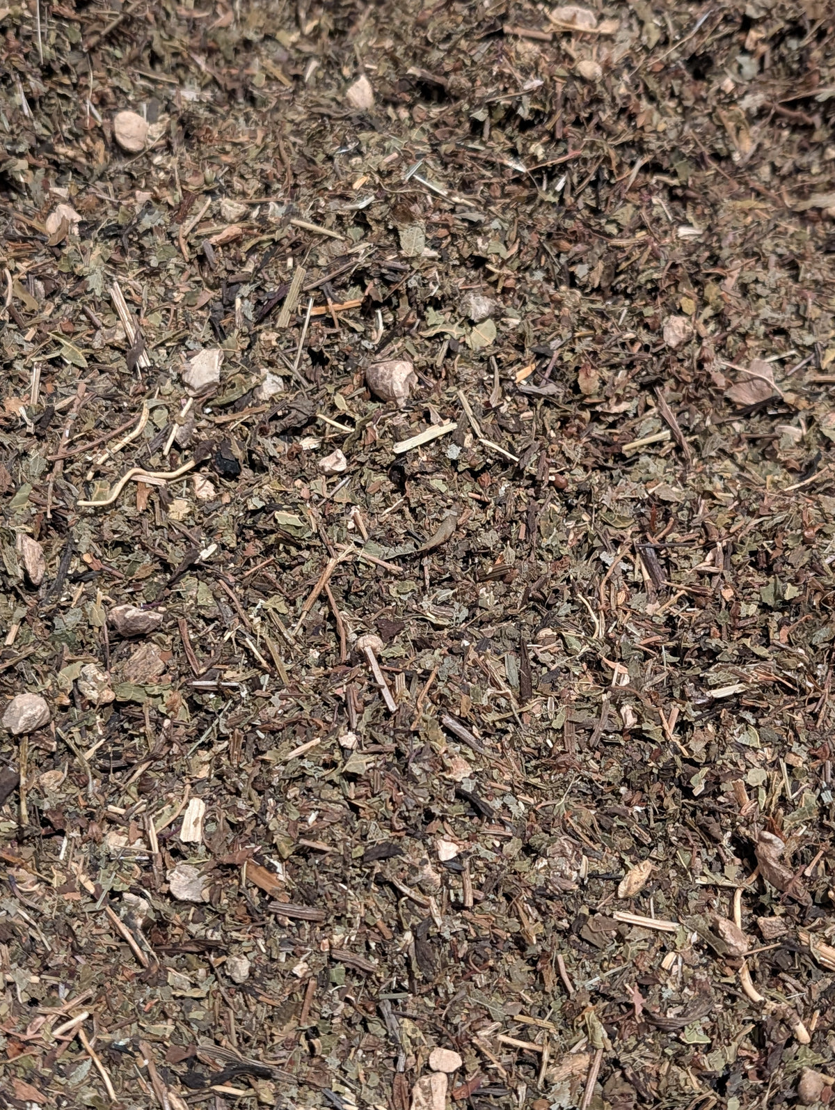 FREE FLOW-URINARY Medicinal TEA-Stones NO More - UTI'S - Digestive - Metabolic - Stress - Gravel Root, Stone Root, Papaya Leaf, Wide Leaf Plantain, Bilberry, Tulsi Flower & Leaf- Organic - FREE SHIPPING