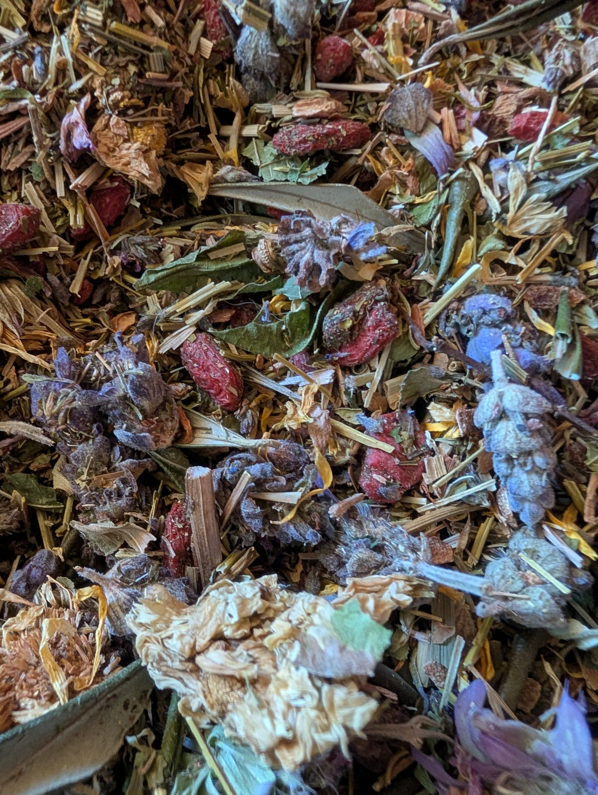 PowerHouse Medicinal Tea-4.4 oz ORGANIC- Olive Leaf,Lemon Verbena, Mexican Oregano ,Bee Balm, Lavender ,Skullcap, Lemongrass, White Pine Bark, Goji Berry, Lemon Rind, California Poppy, Calendula, Chrysanthemum-FREE SHIP