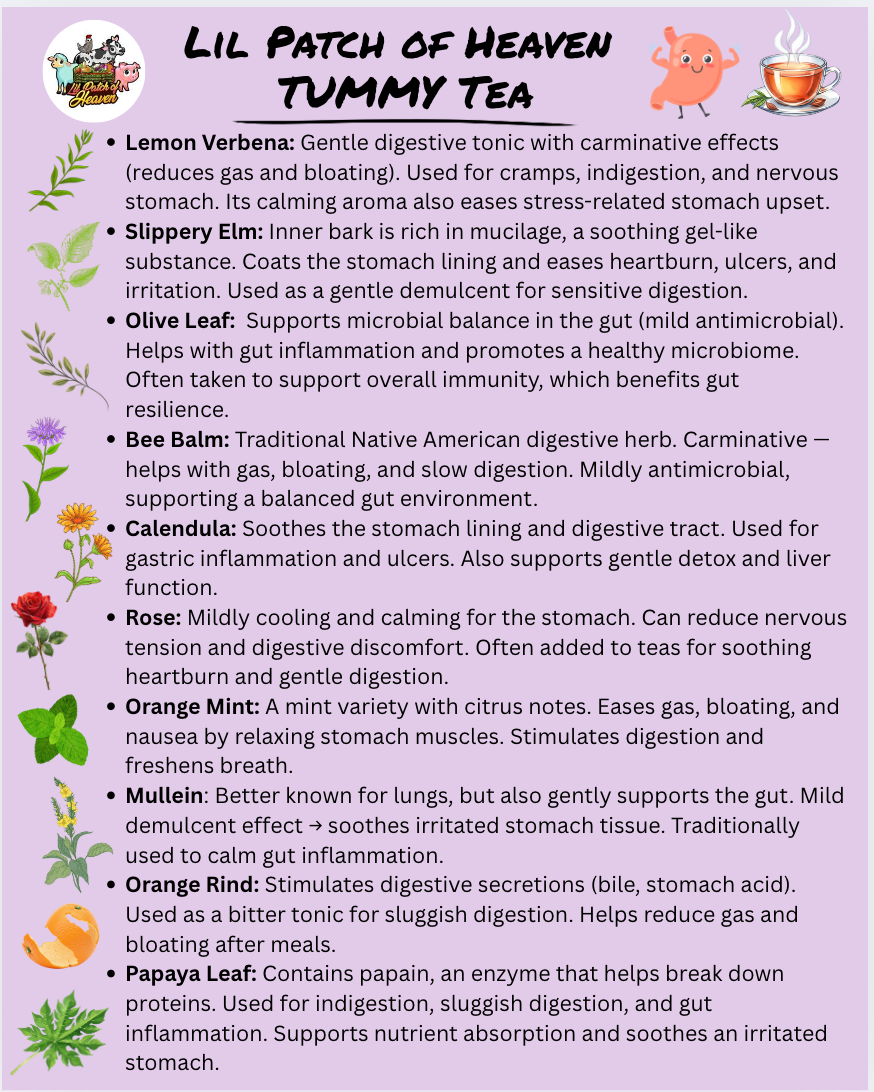 "TUMMY"Medicinal Tea Lemon Verbena, Slippery Elm ,Olive Leaf, Bee Balm, Calendula, Rose, Orange Mint ,Mullen, Orange Rind and Papaya Leaf Organic - 12 ounce SHIPS FREE